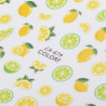 Nail Slider CA-679