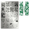 Leimauslevy Moyra - Florality 2 - 10