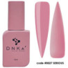 Cover Base No. 0027 Serious DNKa