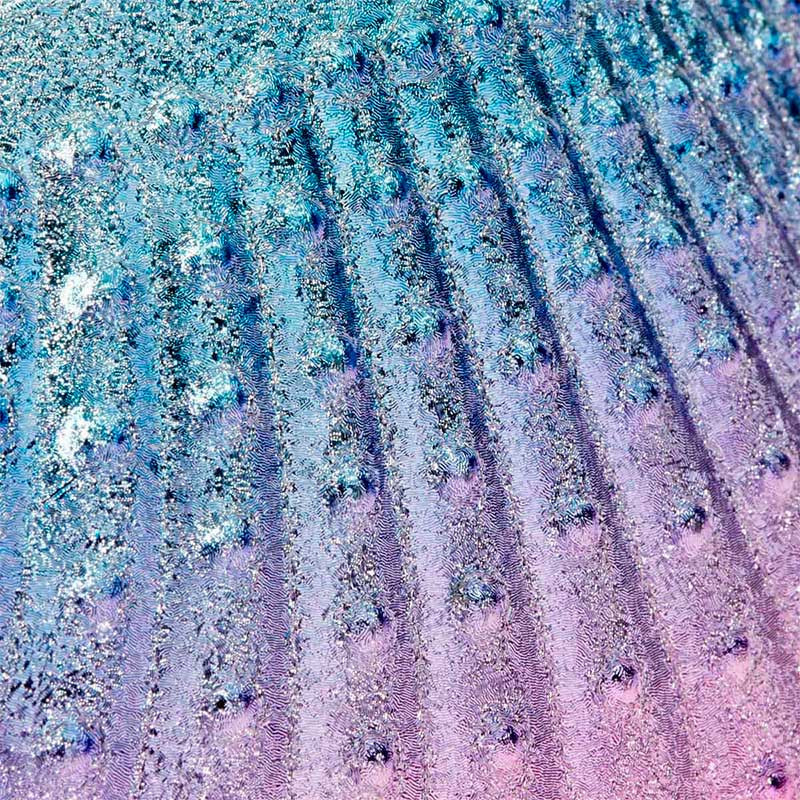 Nail brush