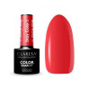 CLARESA STAY COSY № 6, 5 ML