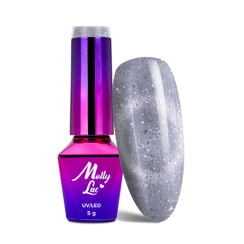 MollyLac Foxy Eyes Silver Grey 5g Nr 550