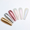 Nail powder, mirror effect, palette 6 colors, No. 1