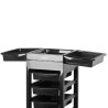 Gabbiano hairdressing trolley 048A black