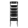 Gabbiano fx11f black hairdressing assistant