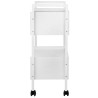 Cosmetic table type 1019
