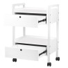 Cosmetic table type 1019