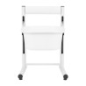 Height-adjustable pedicure tray, white