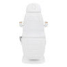 Electric cosmetic chair SILLON Lux 273b 3 motors white
