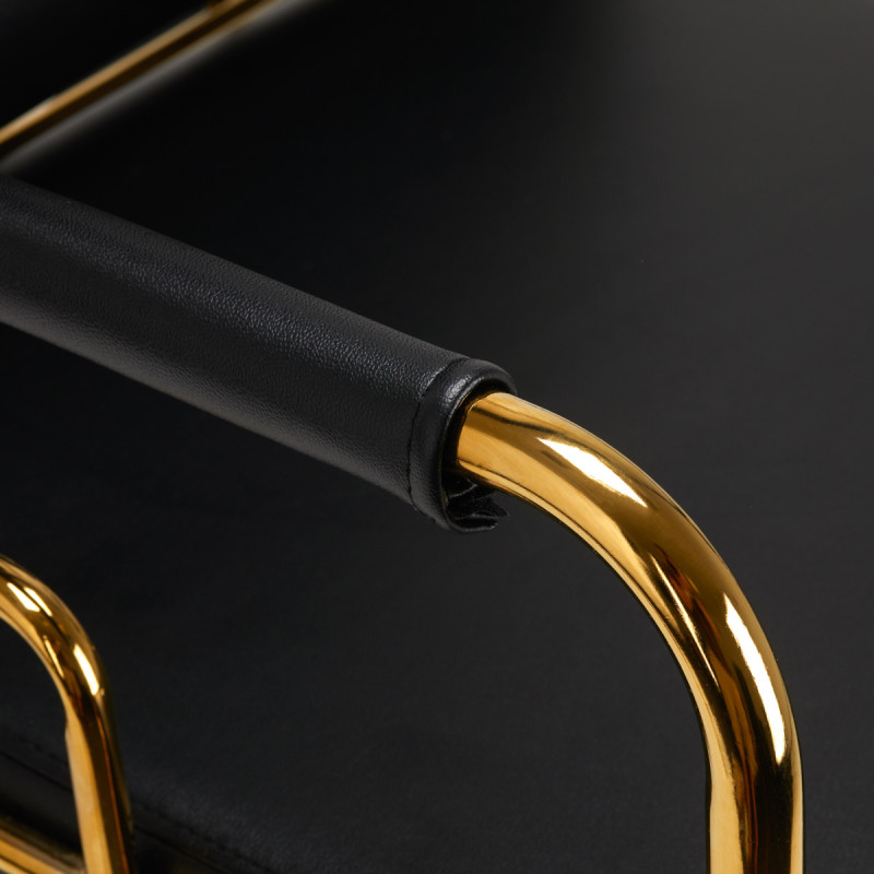 GABBIANO HAIR WASH UNIT PRATO GOLD - BLACK