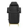 Cosmetic chair 557G with cuvettes black