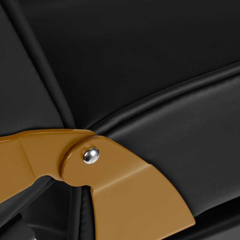 Cosmetic chair 557G with cuvettes black