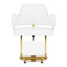 Hairdressing chair Gabbiano Linz NQ Gold White