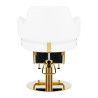 Hairdressing chair Gabbiano Linz NQ Gold White