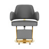 Hairdressing chair Gabbiano Linz NQ Gold Gray