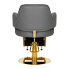 Hairdressing chair Gabbiano Linz NQ Gold Gray