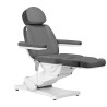Electric cosmetic chair SILLON CLASSIC 3 motors gray