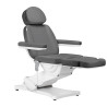 Electric cosmetic chair SILLON CLASSIC 4 motors with cradle gray