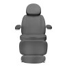 Electric cosmetic chair SILLON CLASSIC 4 motors with cradle gray