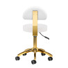 Cosmetic stool AM-304G white
