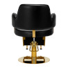 Hairdressing chair Gabbiano Linz NQ Gold Black
