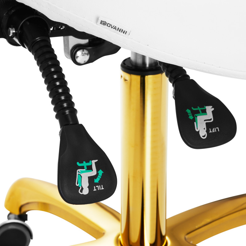 Giovanni cosmetic stool 1004 gold white
