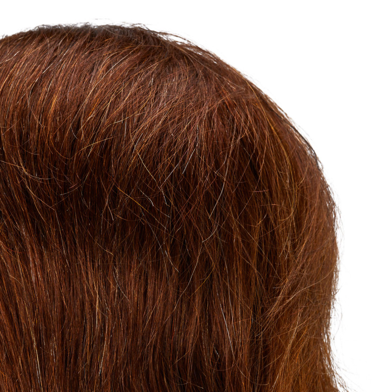 Gabbiano WZ3 hairdressing training head, natural hair, color 4, length 8"