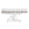 Azzurro 891 electric cosmetic chair grey