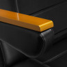 SILLON Lux 273b electric cosmetic chair 3 motors gold black