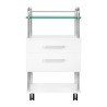 PODOLOGICAL HELPER 6052 WHITE