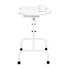 Folding desk 4031 white + bag