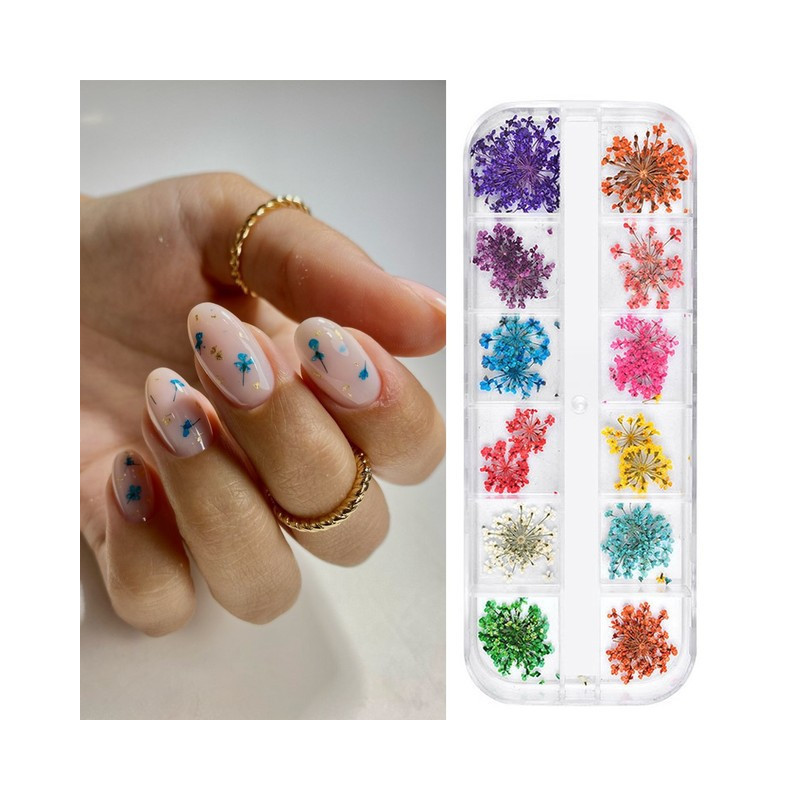 Dried flowers for nail design