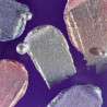 Jewel Paste "DNKa" 0003 - 5 ml