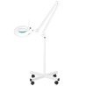 S4 LED magnifier lamp + tripod