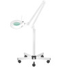 LED magnifier lamp S5 + LED tripod reg. light intensity