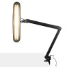 Elegant 801-tl led work lamp with a vice reg. black light intensity and color
