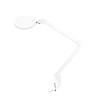 LED LUPA LED GLOW 8021 LAMP ADJUSTABLE COLOR OF LIGHT
