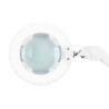LED LUPA LED GLOW 8021 LAMP ADJUSTABLE COLOR OF LIGHT