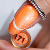 Color Gel Polish Molly Nails Neon Flash Cat Eye 171 - 8 g