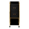 Gabbiano hairdressing assistant Solo gold – black