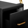 Gabbiano hairdressing assistant Solo gold – black