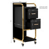 Gabbiano hairdressing assistant Solo gold – black