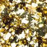 Gold flakes No. 2