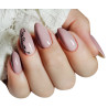 Claresa Nude № 117, 5 ml