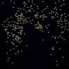 Bulion Lux Golden 0,8mm 4g nr 4